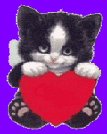 pic for I Love You Cat